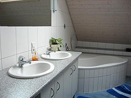 Guests' bathroom