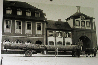 Aus diesem Eichenstamm wurde das große Fass gemacht (historisches Foto)