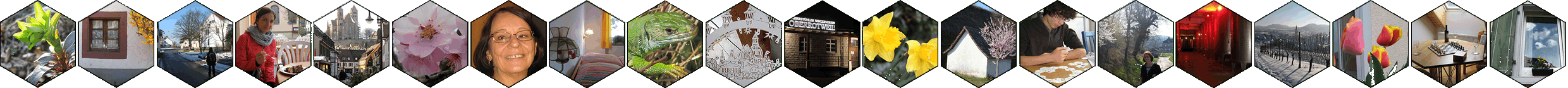 У Языкового пансиона много видов