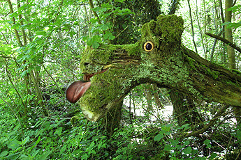 лесной дух лесной дух