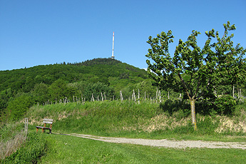 Вид на верщину 'тотенкопф' Вид на верщину 'тотенкопф'