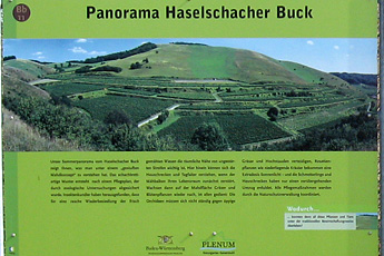 Панель информации на тропе "Бадбергпфад"