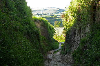 Ложбина и вид в Оберротвейл Ложбина и вид в Оберротвейл