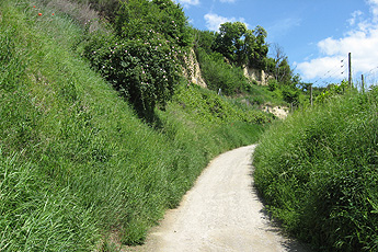 С Бётцингена до перехода 'Фогельзанг' С Бётцингена до перехода 'Фогельзанг'