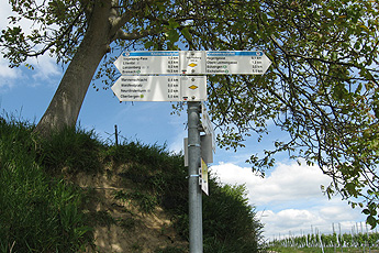 Тропа ятрышников