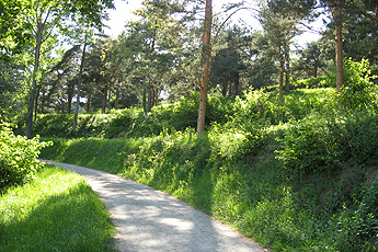 террасы в Арборетуме