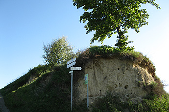 Клин из лёсса на перекрёстке двух дорож Клин из лёсса на перекрёстке двух дорож