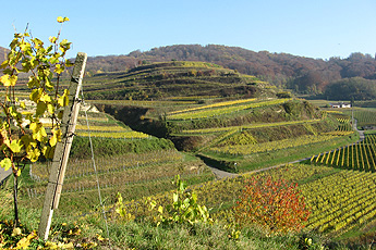 Террасы маленьким размером Террасы маленьким размером